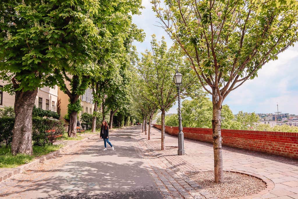 Floral avenue in Budapest