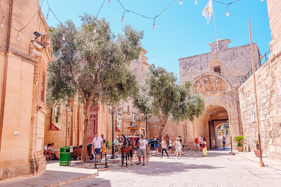 Mdina's Gate