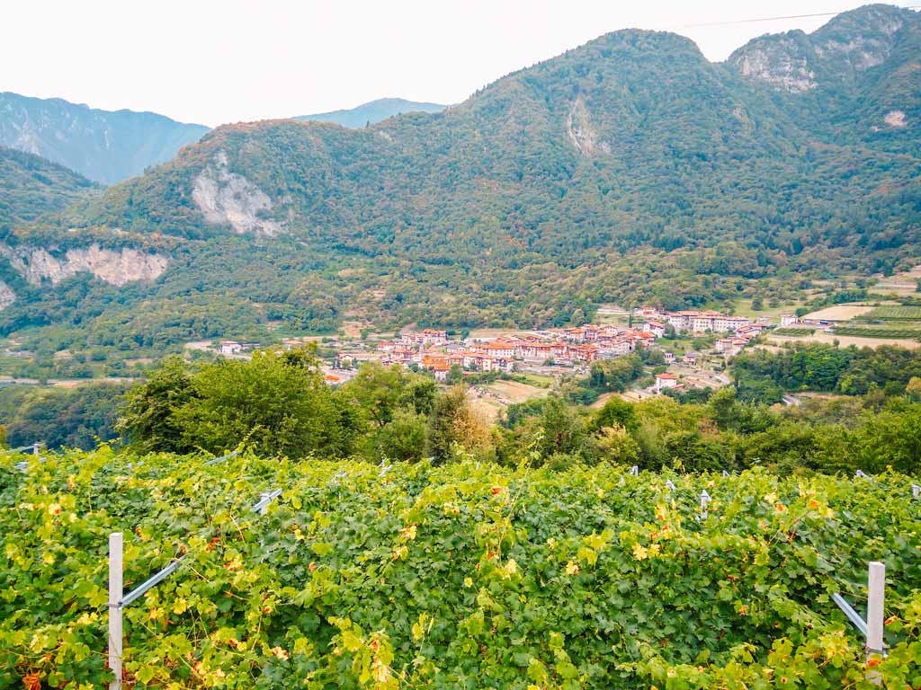 Views of a town in Lake Garda with the mountains behind