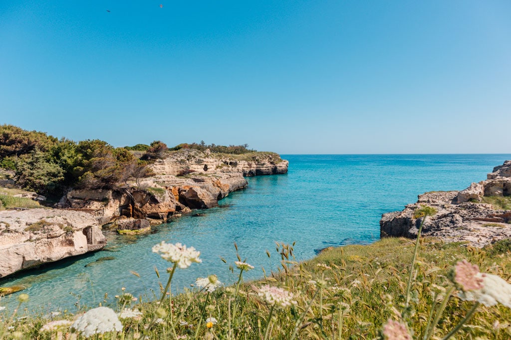 Sea, flower, and cliff views near the Cave of Poetry in Italy